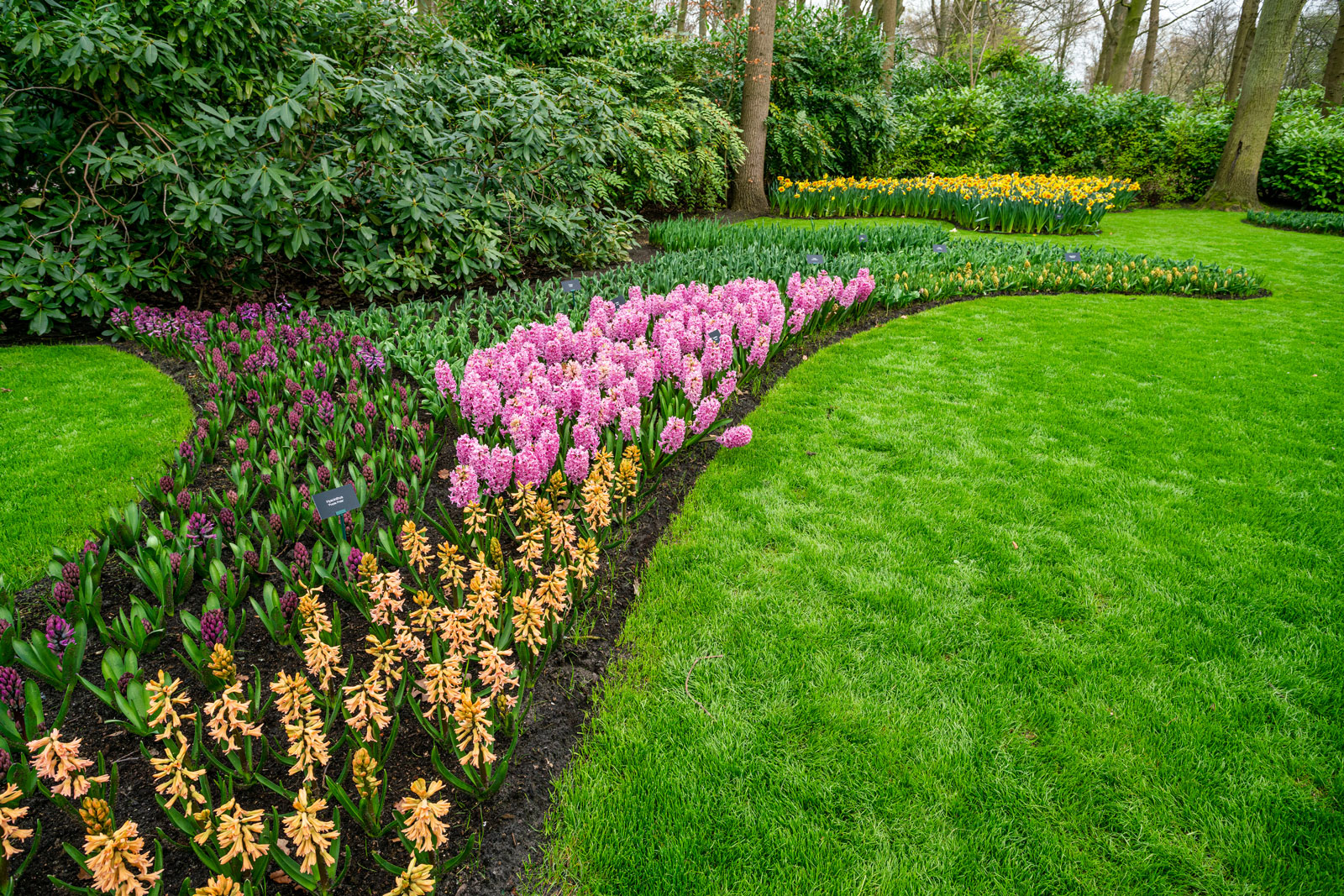entretien-jardin-fourneaux